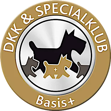 Logo DKK Basis+